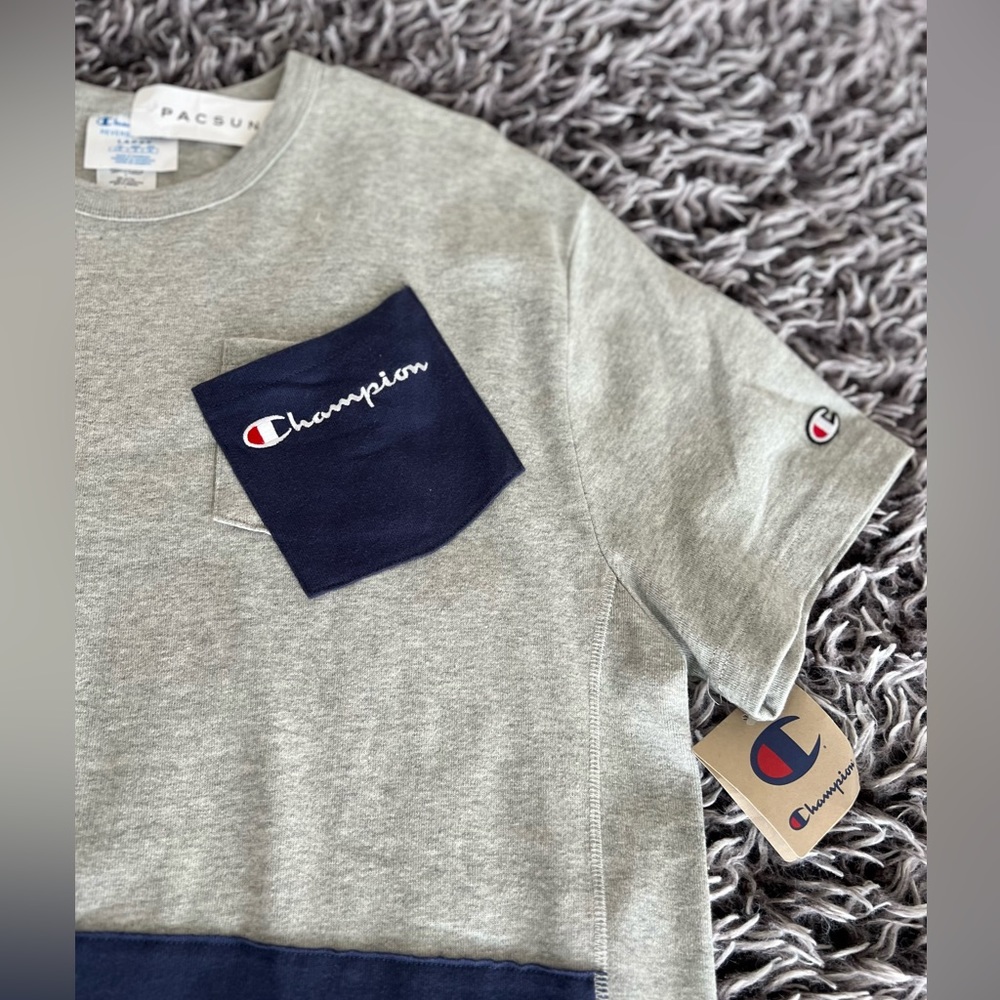 Champion Gray, White, Blue, and Red Block T-Shirt L (PacSun)